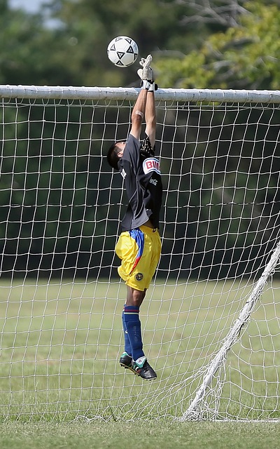 汉密尔顿的 汉密尔顿的