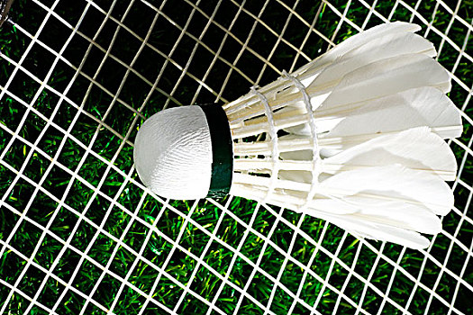 无疑是她制 无疑是她制