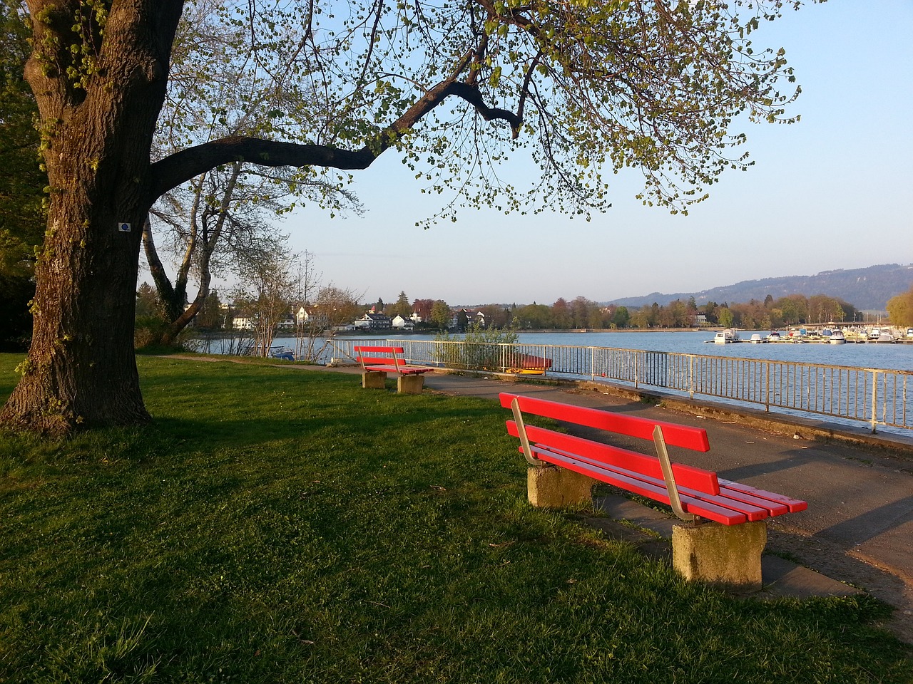 是荷兰失利 是荷兰失利