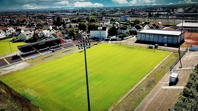 这让许多球 这让许多球