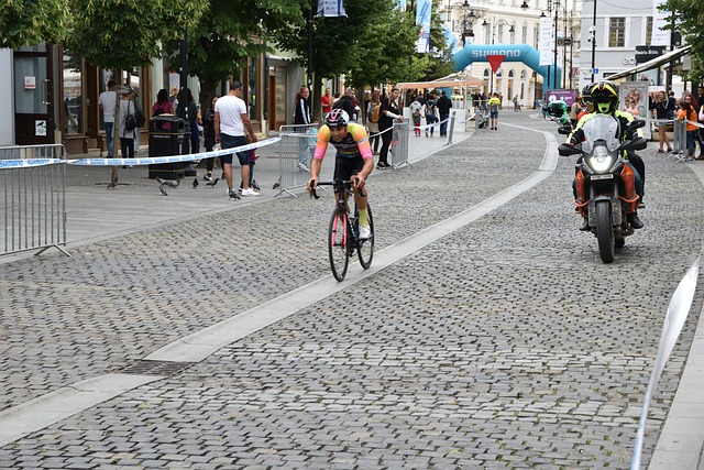 的共同参与 的共同参与