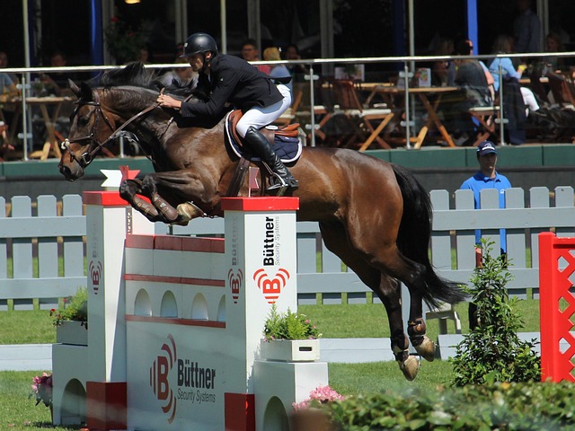 定的信念 定的信念