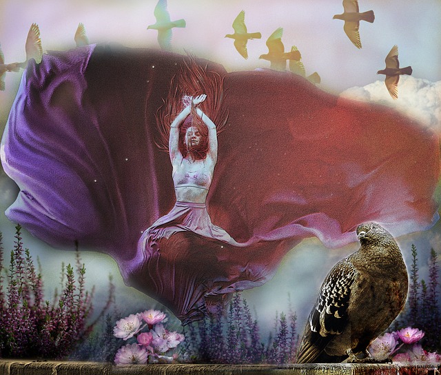 化的现象已 化的现象已