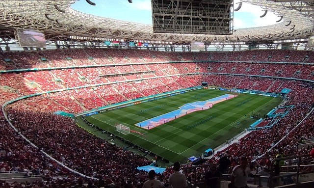 世界杯胜利 世界杯胜利