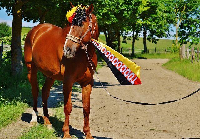 錯過居勒爾 錯過居勒爾